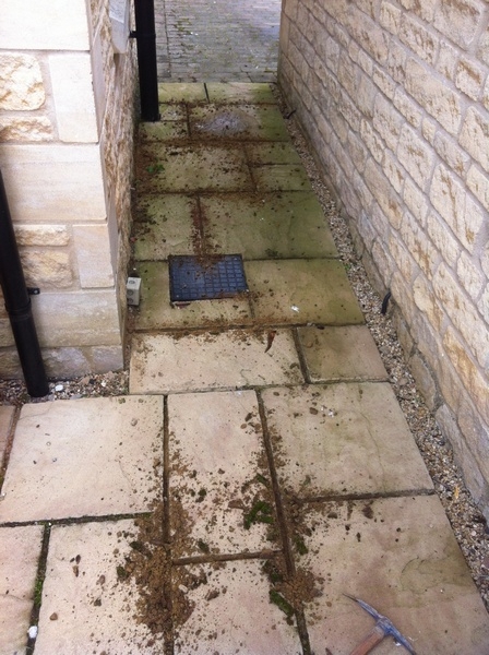 stone-steps-2456