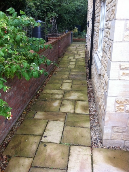 stone-steps-2460