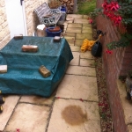 stone-steps-2458