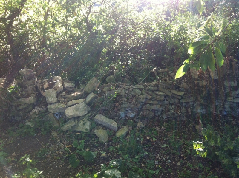 stone-wall-ashton-0600