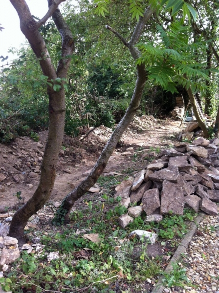 stone-wall-ashton-0614