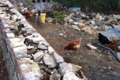 Wall repair Barnack